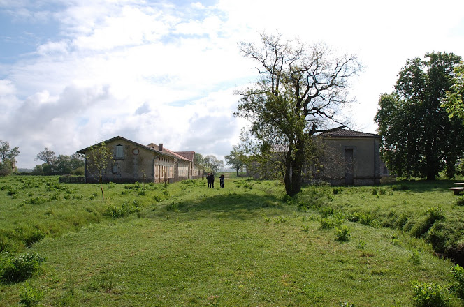 ile nouvelle vue