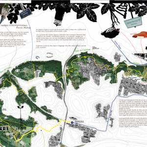 Cartographie Parc des berges